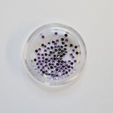 Strasszkõ kör LILA 1